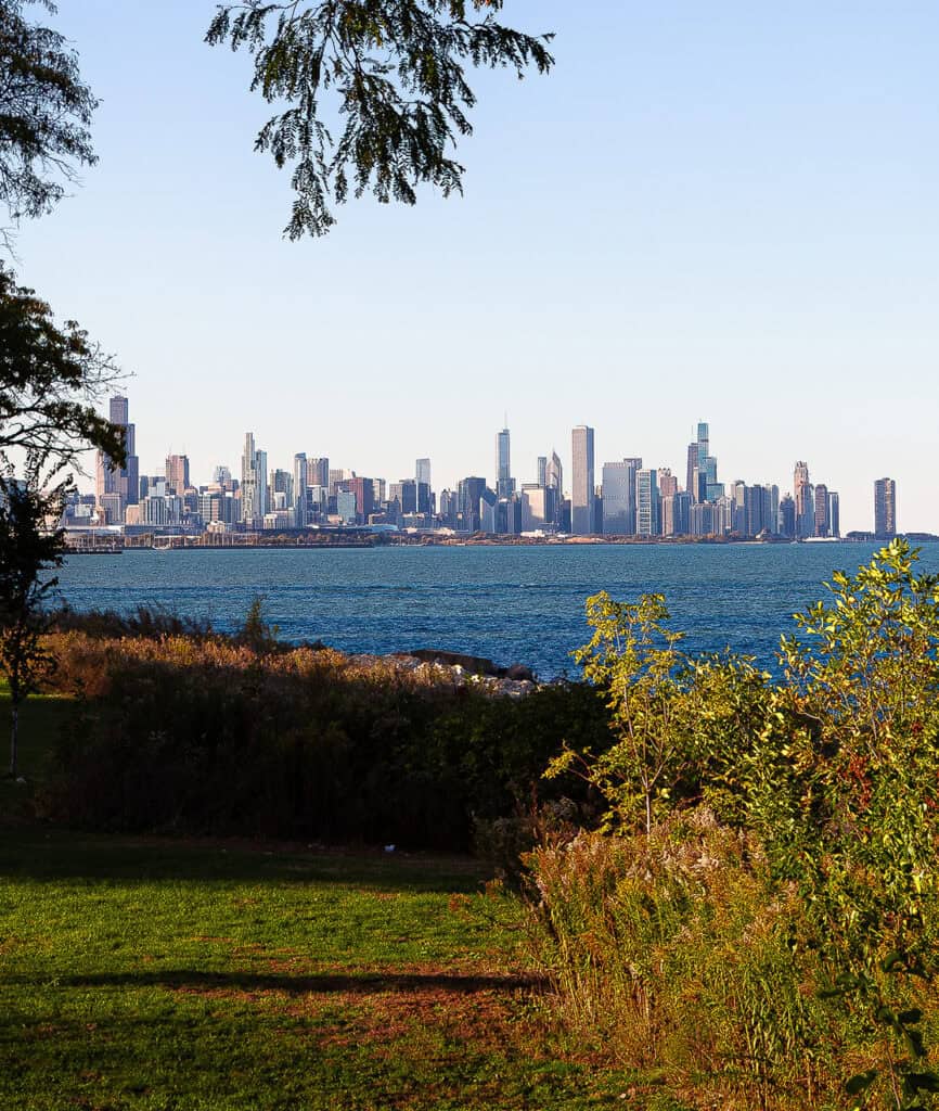 Chicago skyline viewed across Lake Michigan, framed by trees and native plants.