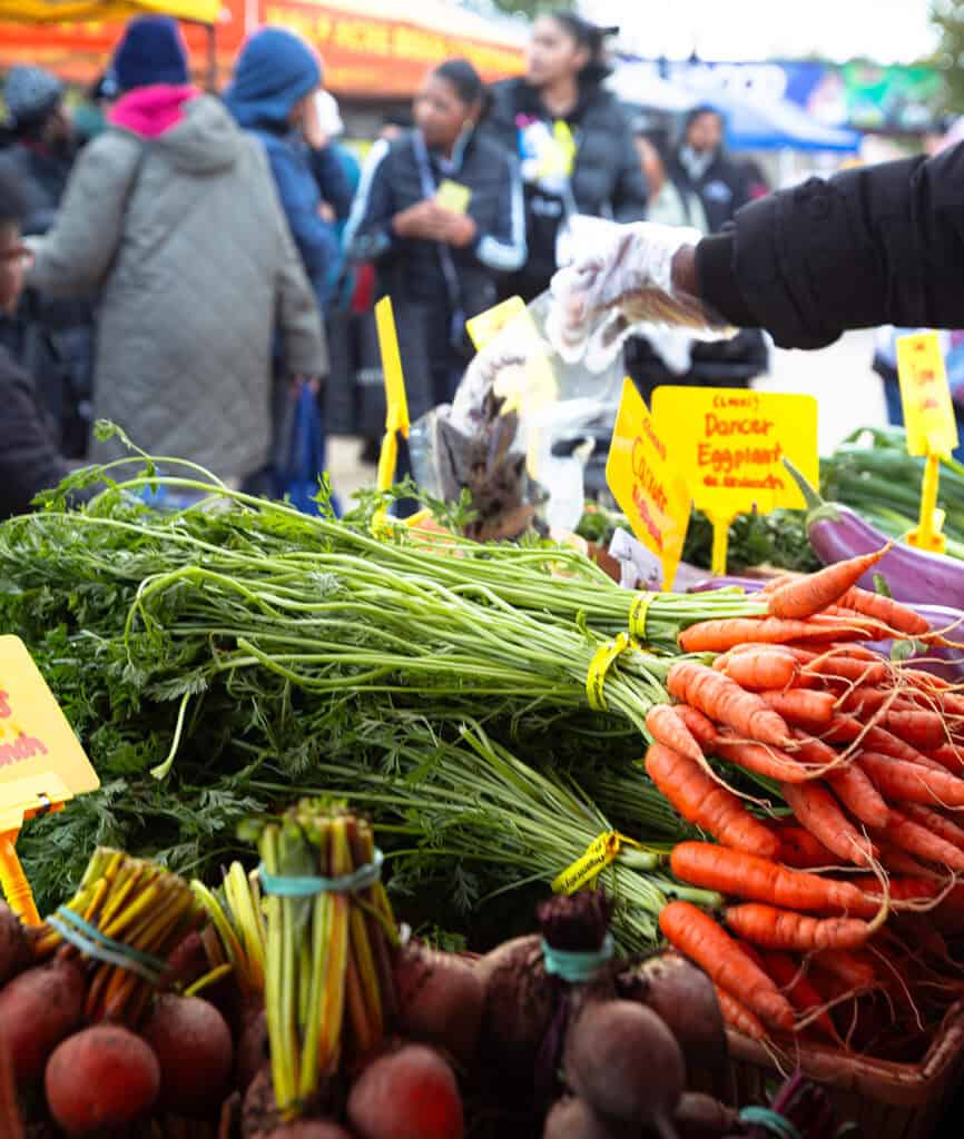 Community members shopping for fresh produce at a local farmers market